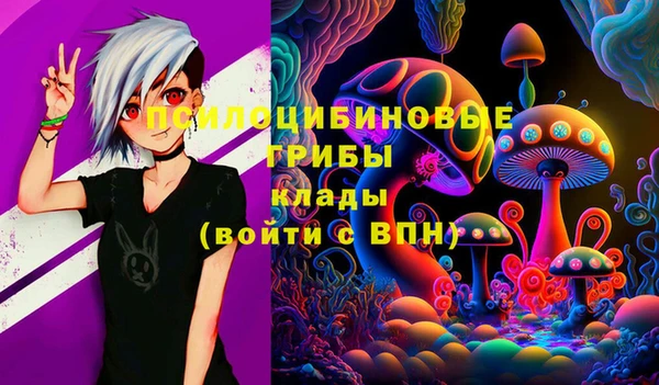 mix Надым
